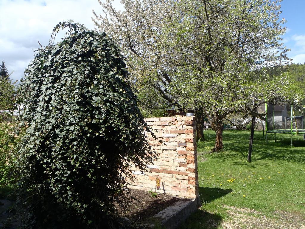 Penzion Villa Marion Mariánské Lázně المظهر الخارجي الصورة